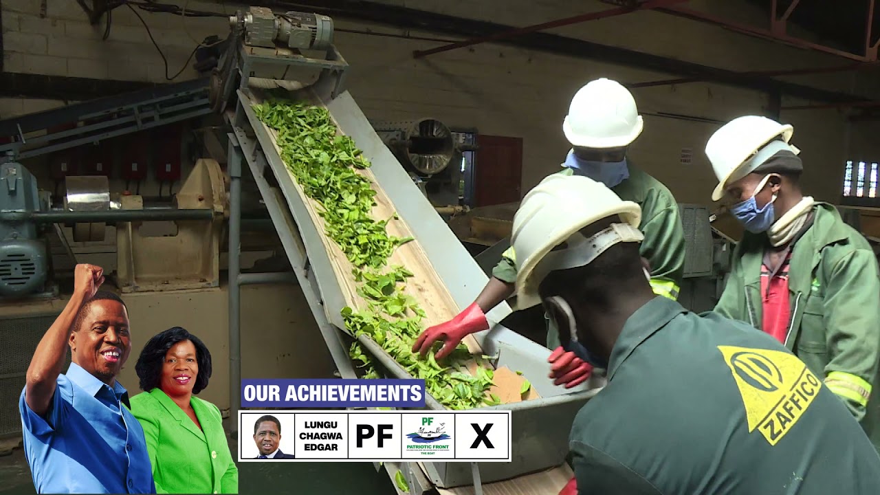 Creating job opportunities. The Kawambwa Tea Company.