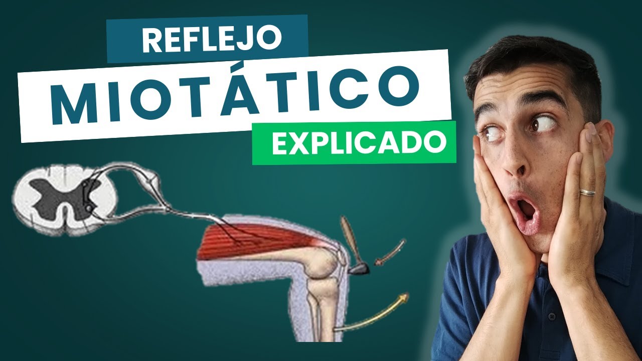 REFLEJO MIOTÁTICO ✅ Explicado Fácil | Fisiología