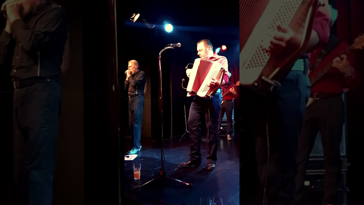 HISS live 2025