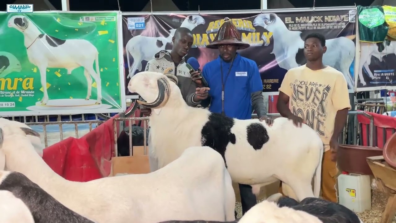 FOIRE RAMADAN SICAP MBAO BERGERIE DIAW FAMILY
