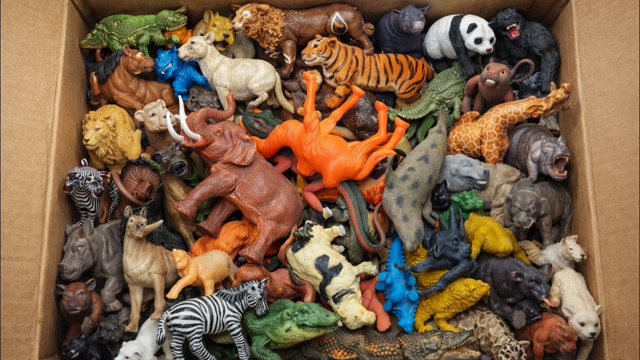 World animal collection box Open than unboxing beautiful all collection animal