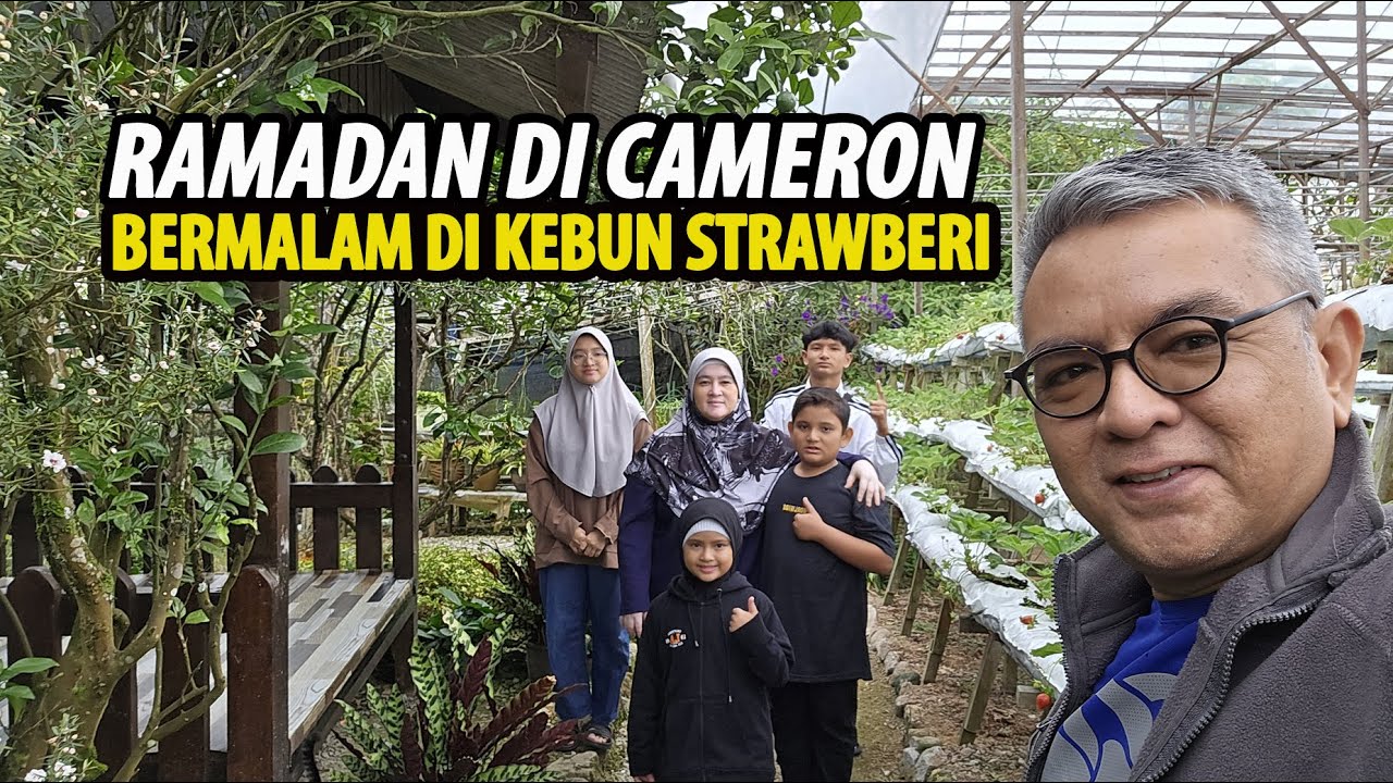 Menjelang Raya 2025 | Bermalam di Kebun Strawberi di Cameron Highlands