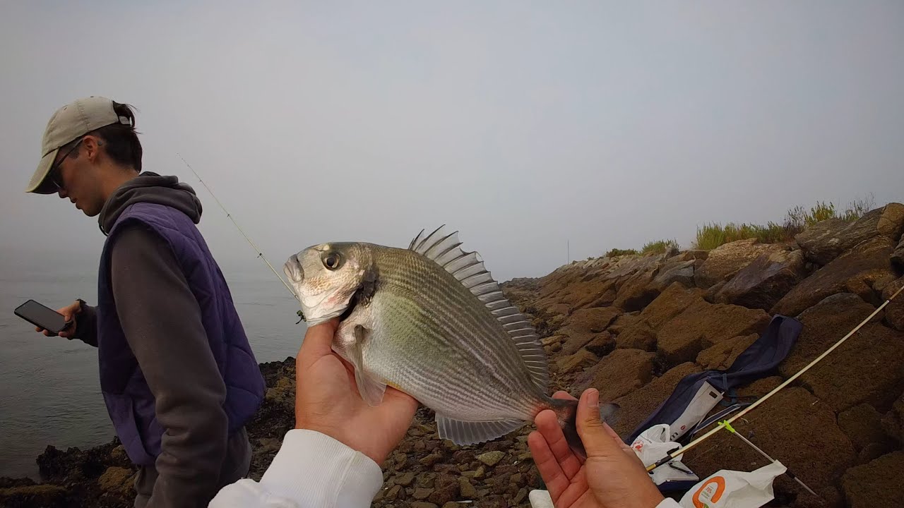 Primeira vez à pesca na casinha - São Jacinto/Aveiro - C/Tomás