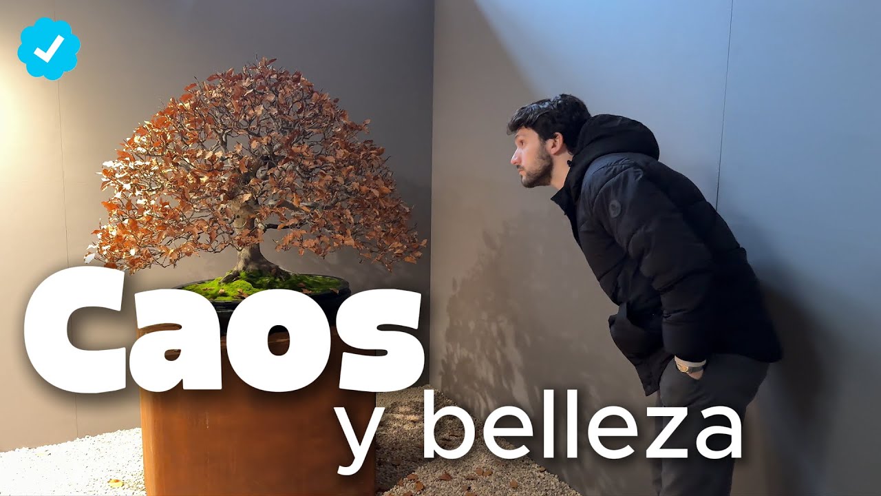 Semanas extrañas...