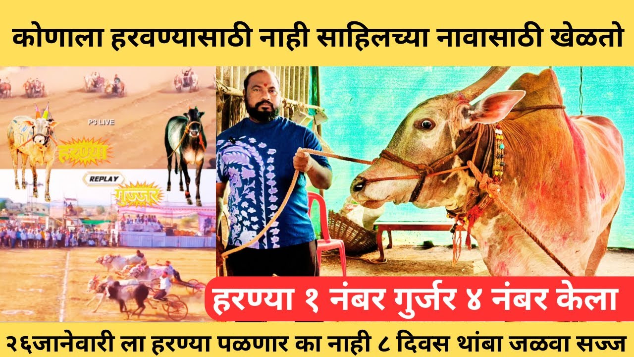 एक नंबरचा मानकरी हरण्या-४ नंबर गुर्जर,all-rounder झाला माझ्या साठी ,कोणाला हरवण्यासाठी नाही खेळत￼🙏🥰