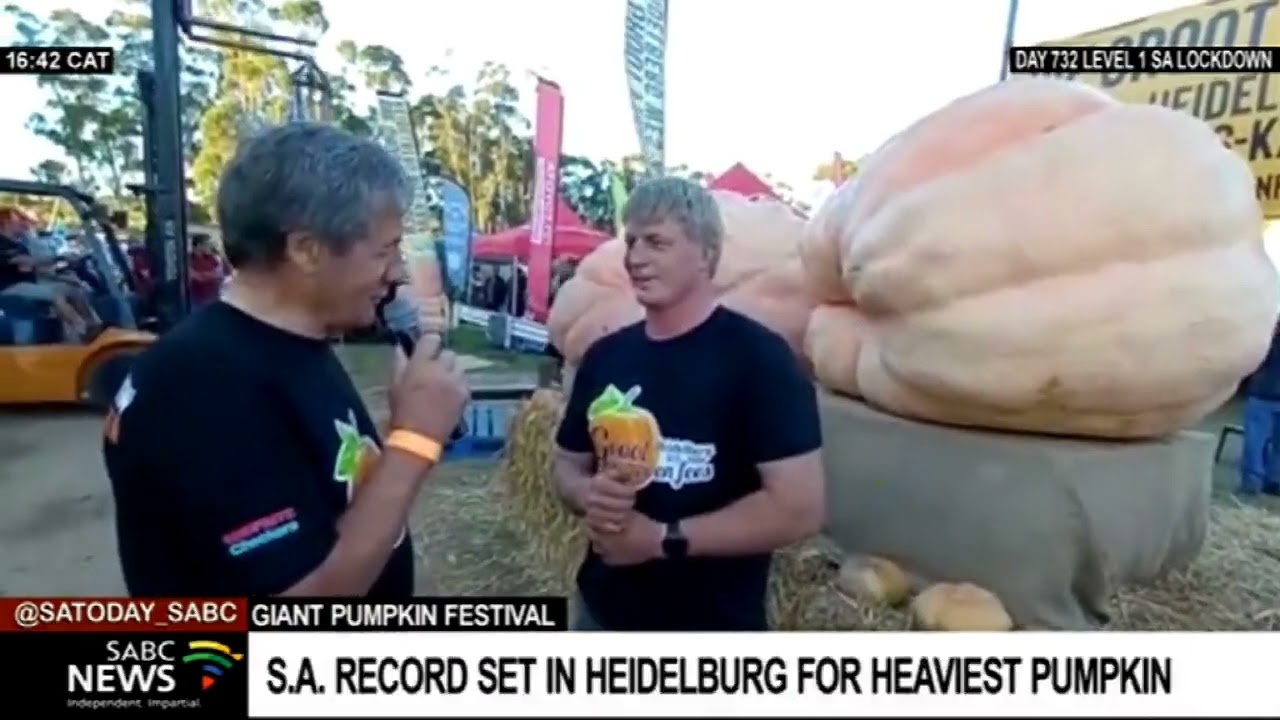 Giant Pumpkin Festival | Heaviest pumpkin at 904,5 kg recorded at Heidelberg