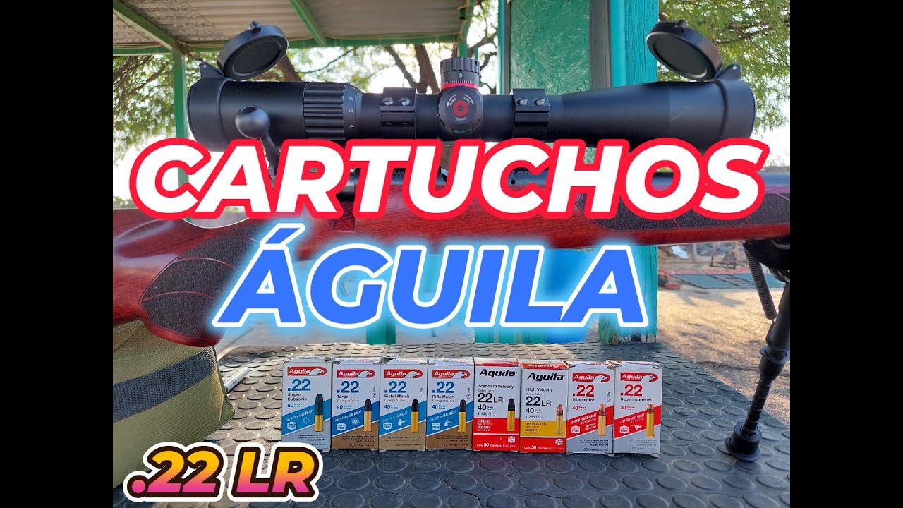 Prueba de 8 diferentes cartuchos águila .22 LR, velocidad, peso de la ojiva y agrupación a 75 metros