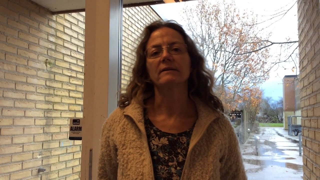Store Heddinge Skole -  reklame