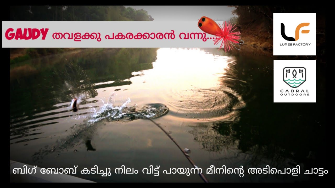 lure factory mega frox big bob and Triton gangnam frog snakehead ന് പറ്റിയ അടിപൊളി ലൂറുകൾ......