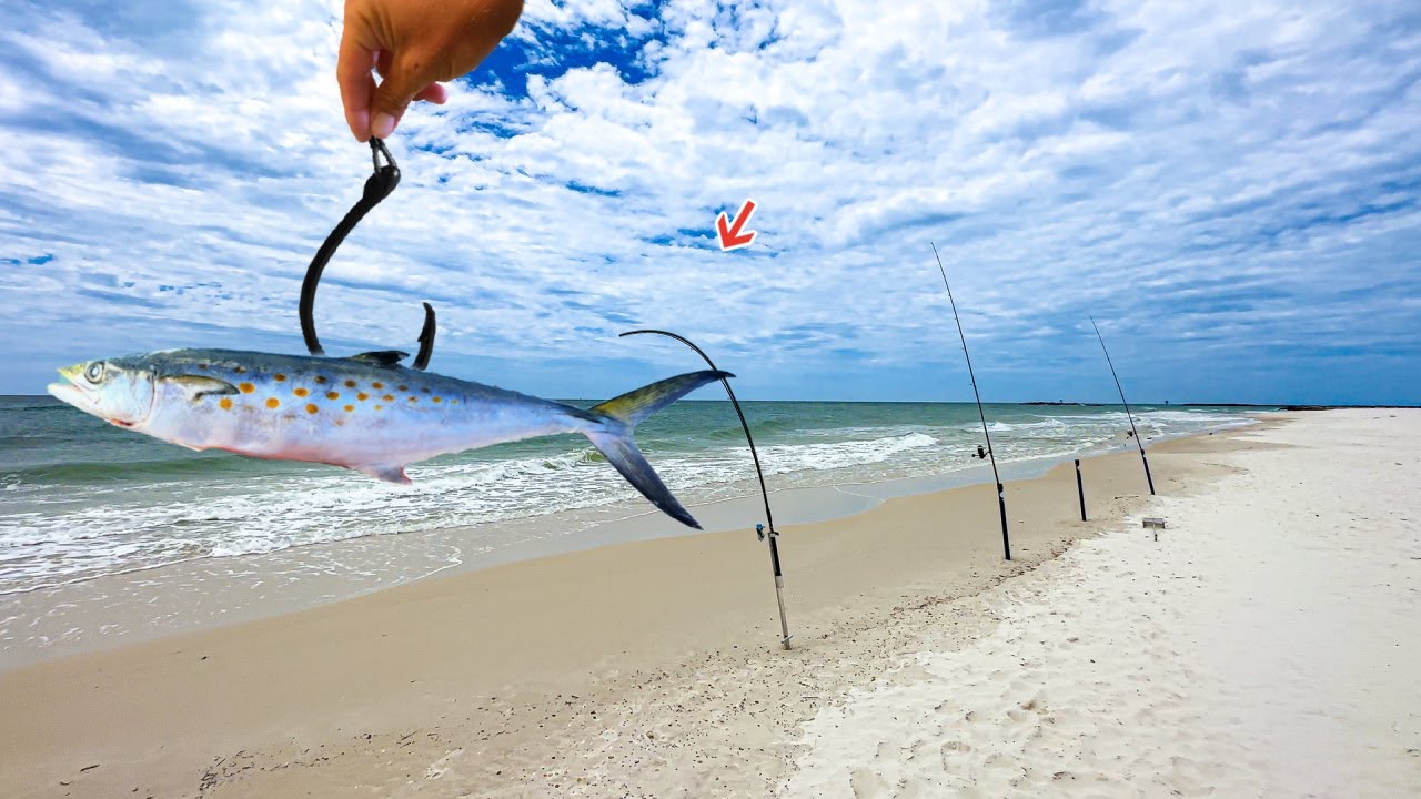Eating Whatever I Catch On This Busy Public Beach! (Catch&Cook)