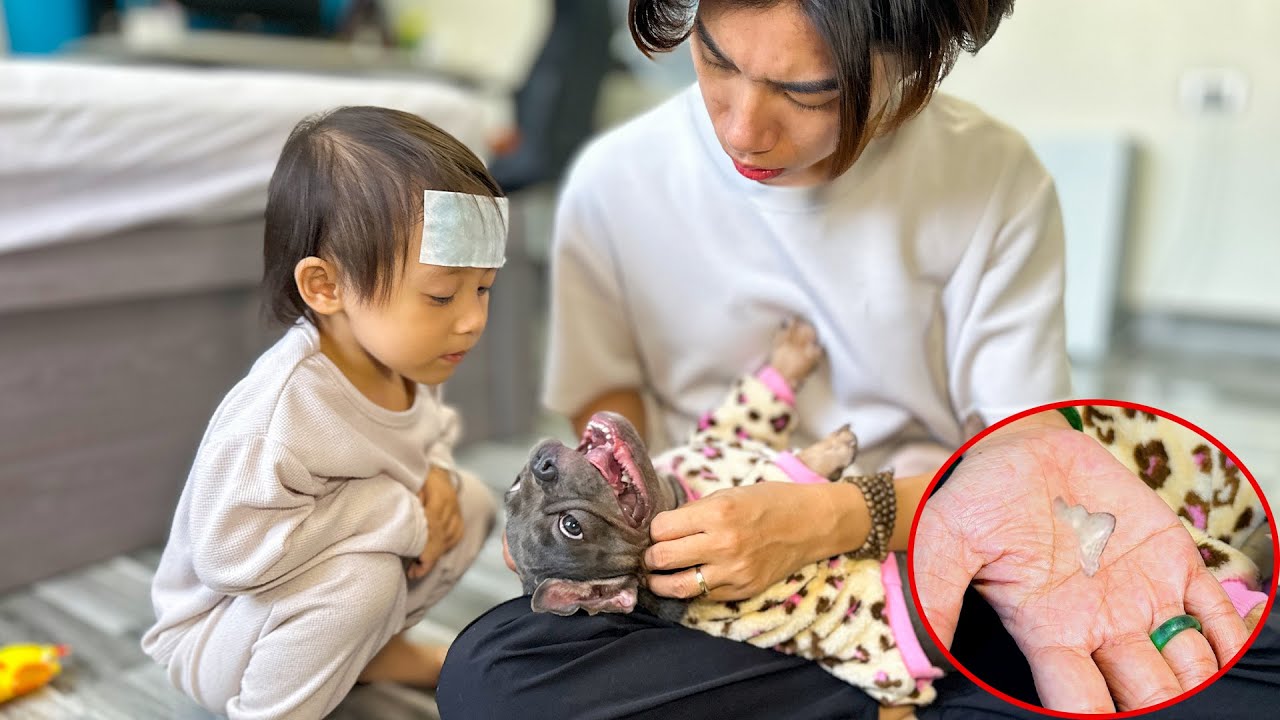 Diem called her mom to check on Mun Dog's broken tooth