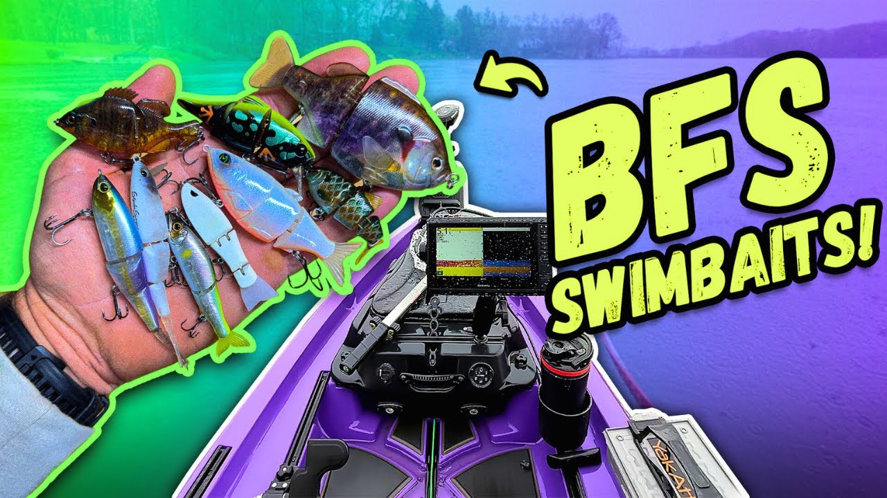 I Fished Every BFS Swimbait I Own… The Results Were INSANE!