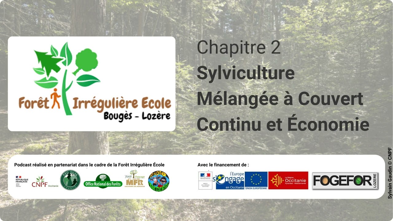 Podcast SMCC - Chapitre 2.1 - Sylviculture Mélangée à Couvert Continu et Economie - 4/12
