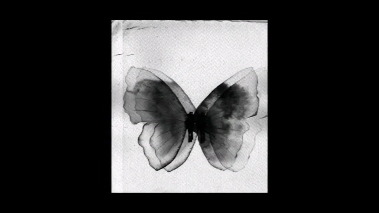 SOPHIA - Schmetterling (Rolexz Hardtekk Remix)
