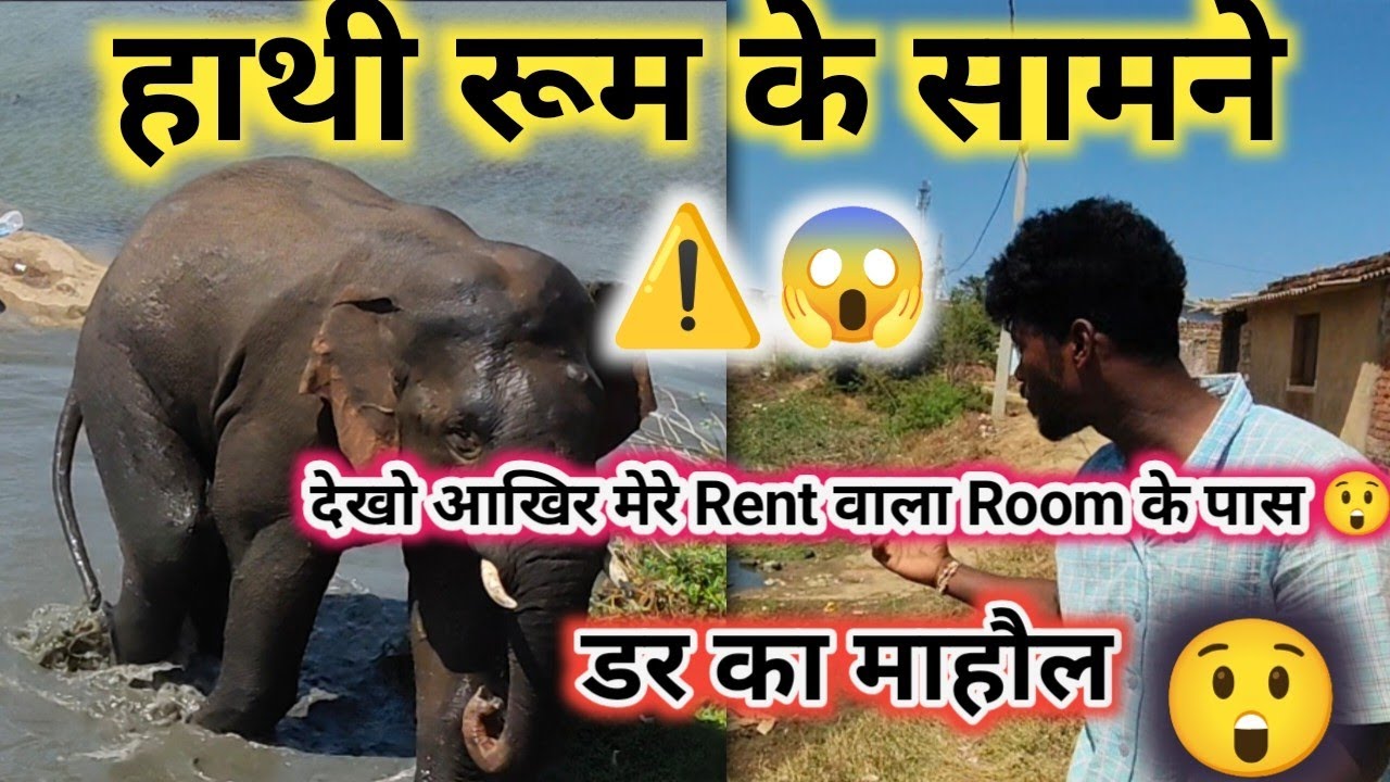 Khunti Kamanta Mein Rent Room Ke Samne Aaya Jangali Hathi 😲 | Real Incident | jangali Hathi 