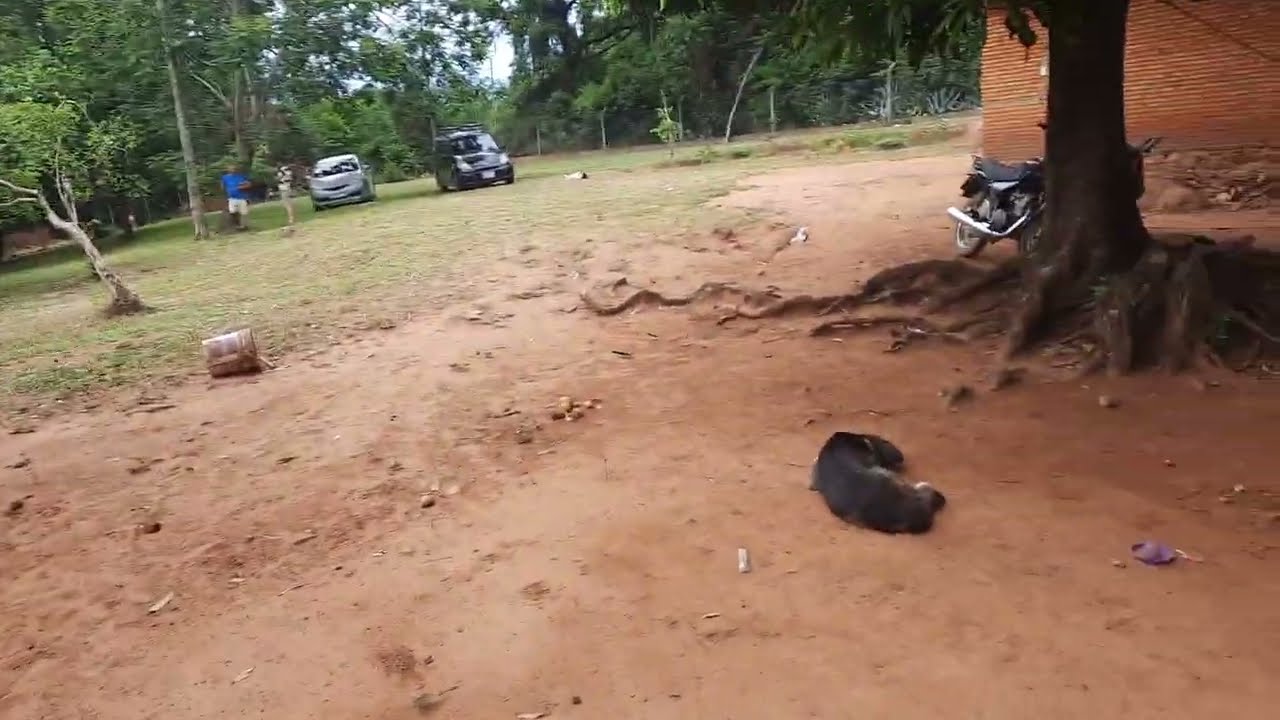 GRUNDSTÜCK MIT EINEM HAUS UND OBSTBÄUMEN FÜR 27 TAUSEND EURO IN PARAGUAY