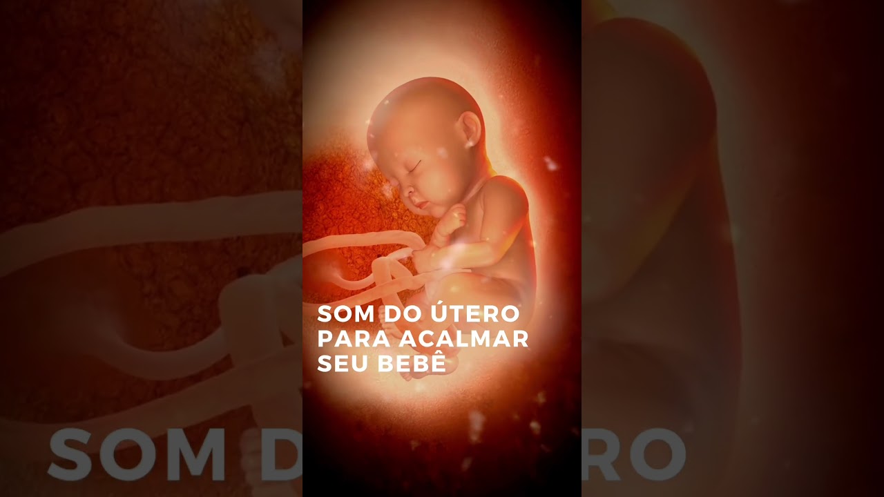 Som do &uacute;tero para acalmar seu beb&ecirc;. #leitematerno #maternidade #rec&eacute;mnascido