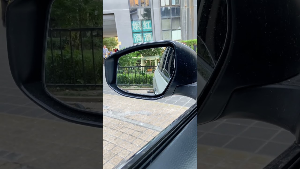 Master the reversing distance in one move!#shorts   #short  #shortsvideo  #car  #driving  #tips