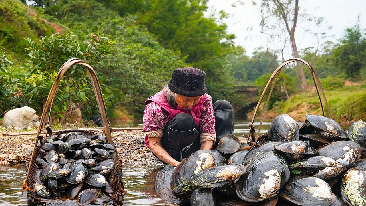 抓回來的河蚌，阿婆這樣做，太香啦！｜玉林阿婆