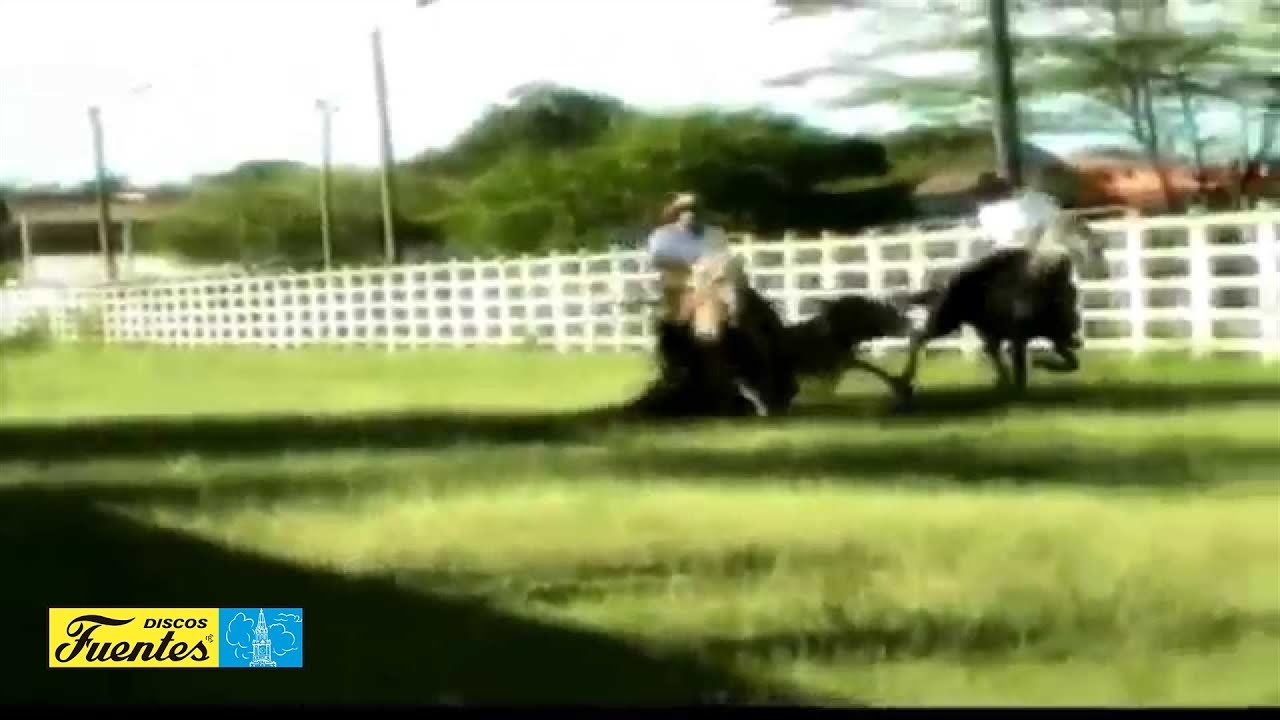 El Araucano - Juan Farfan (Video Oficial) | Discos Fuentes