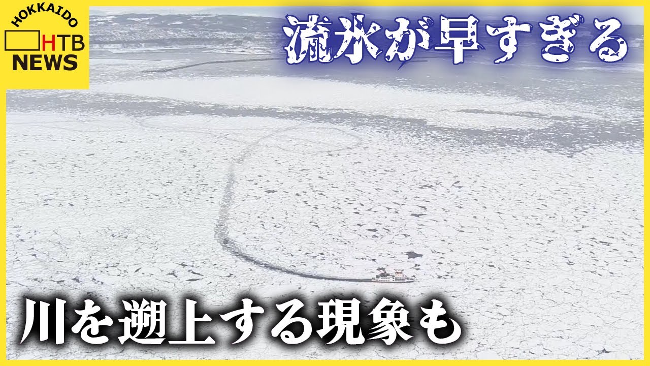 流氷が早すぎる…観光客歓喜もサロマ湖の養殖施設へ被害懸念　流氷が川を遡上する現象も