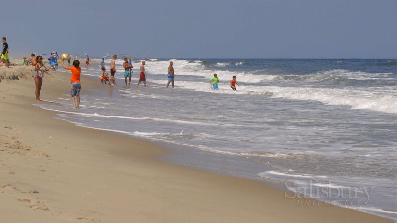 SU Student Investigates “Shorebreak”
