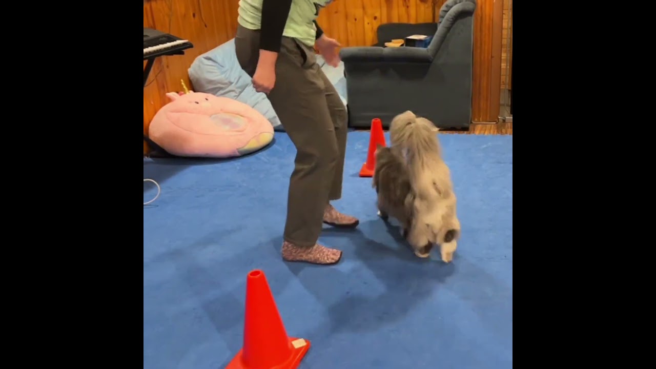 Teaching Directed 