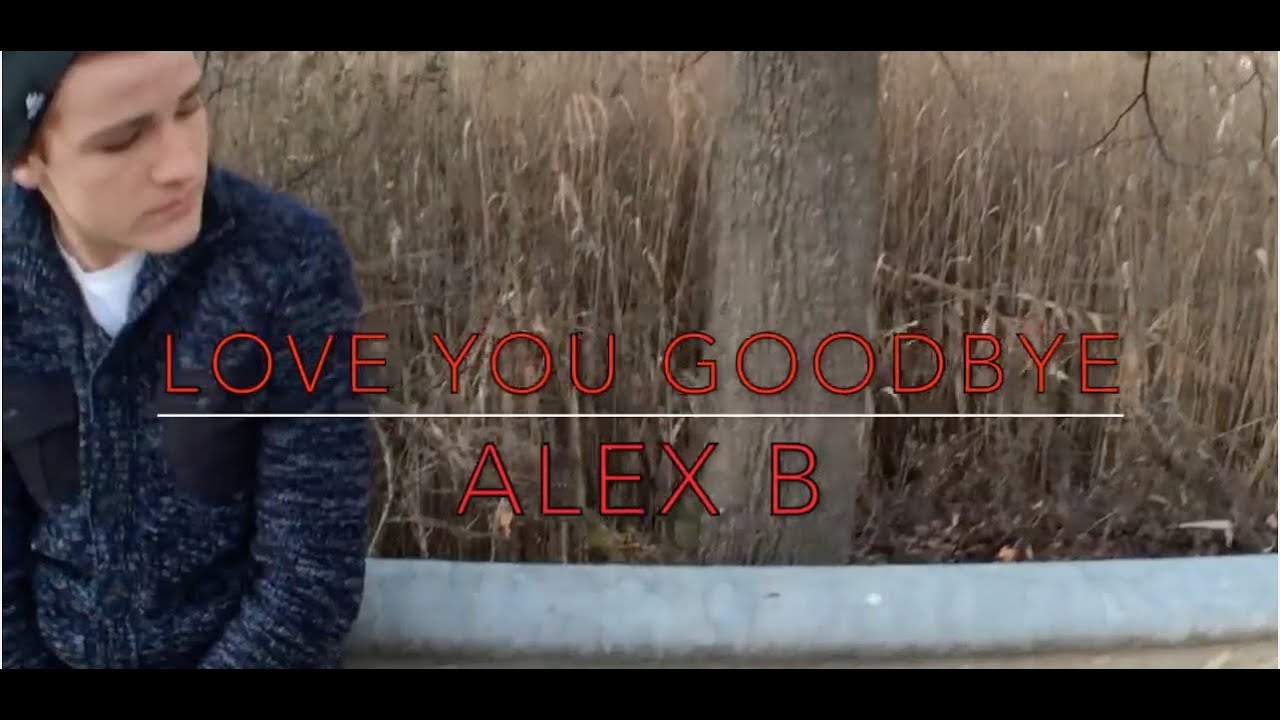 LOVE YOU GOODBYE - One Direction Cover  |  Alex B.