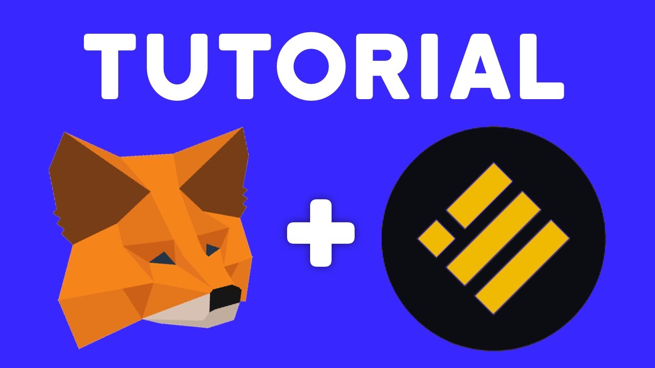 🔥 How to ADD BUSD to METAMASK (SUPER EASY) // BUSD Token & Network