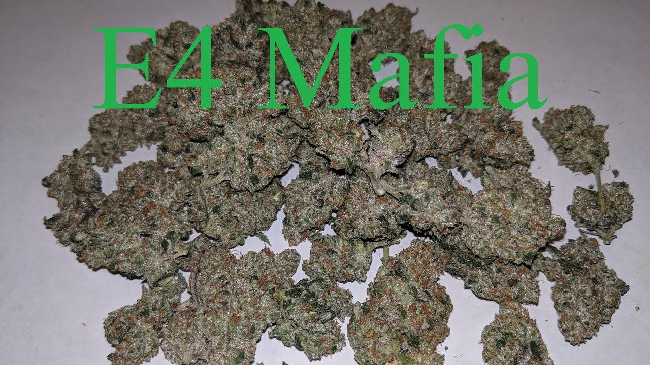Calivetgrown E4 Mafia Smoke Session Review