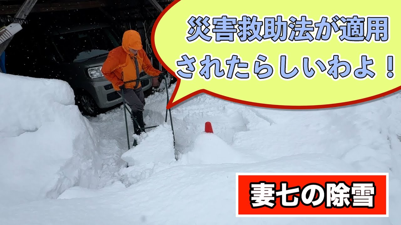 【最強寒波発令中】2025/02/22 妻七が駐車場の除雪をしていました