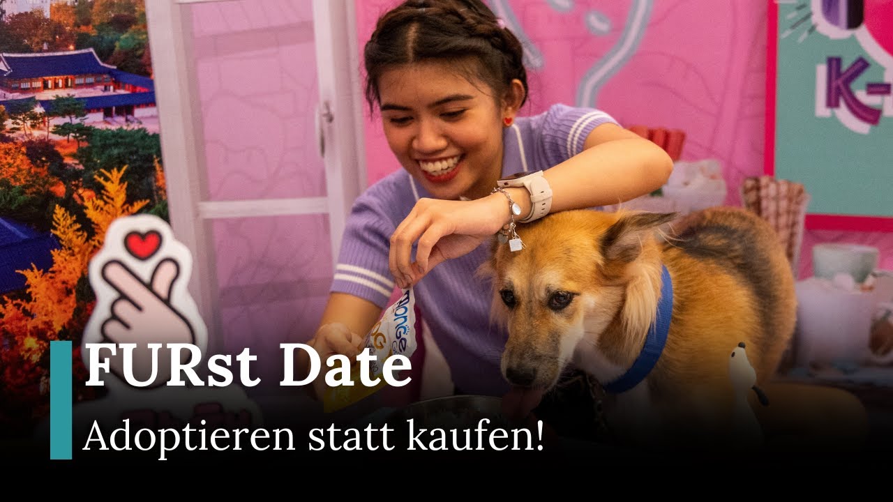 Valentinstag mit geretteten Tieren? PAWS veranstaltet herzerw&auml;rmendes Adoptions-Event! | AQ1G