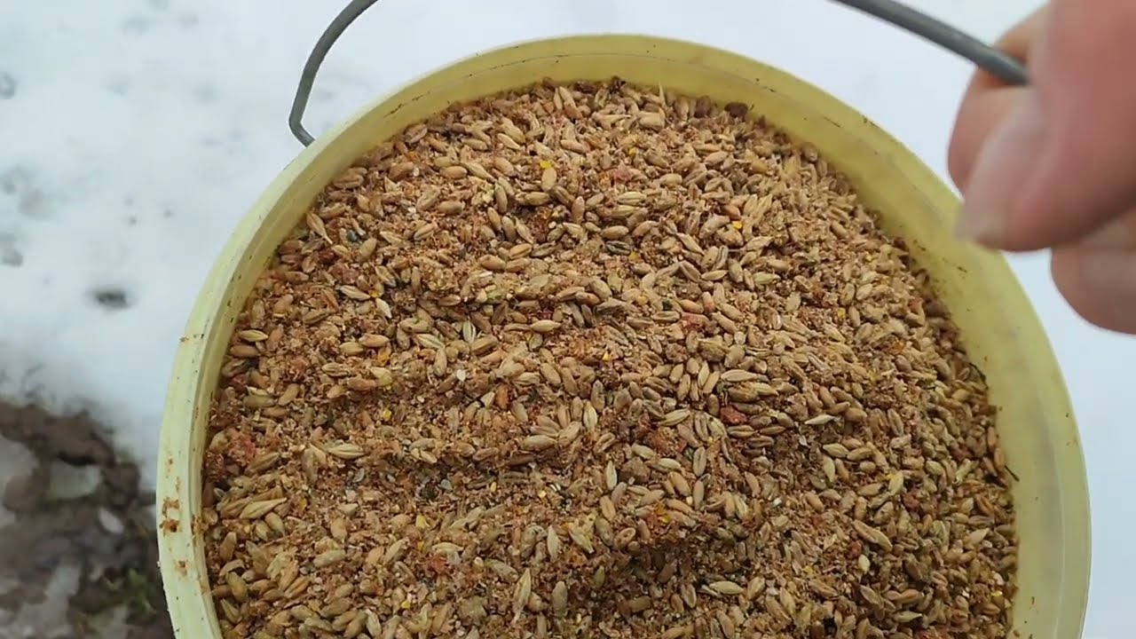 КУРЫ ПОЮТ ОТ ГОЛОДА,ИЛИ ЗДЕСЬ ДРУГОЙ СЕКРЕТ🤔УТКИ БАСТУЮТ🧐🤦‍♀️