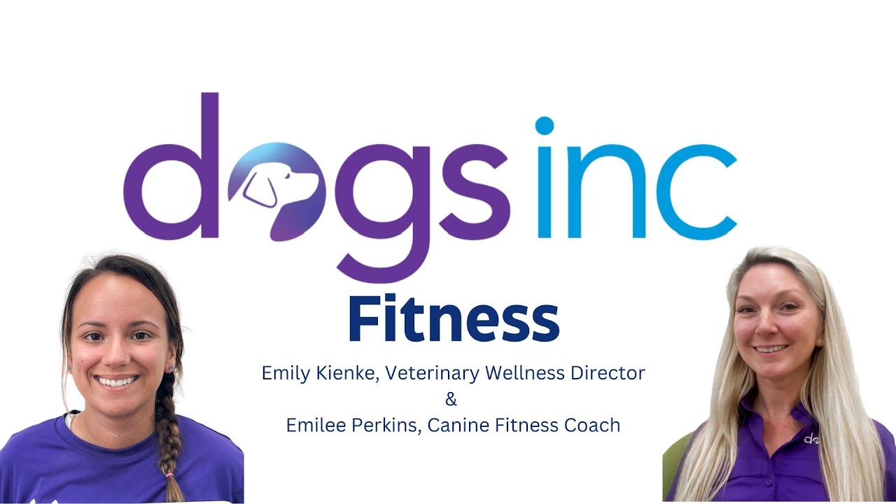 Dogs Inc Canine Fitness Center tour