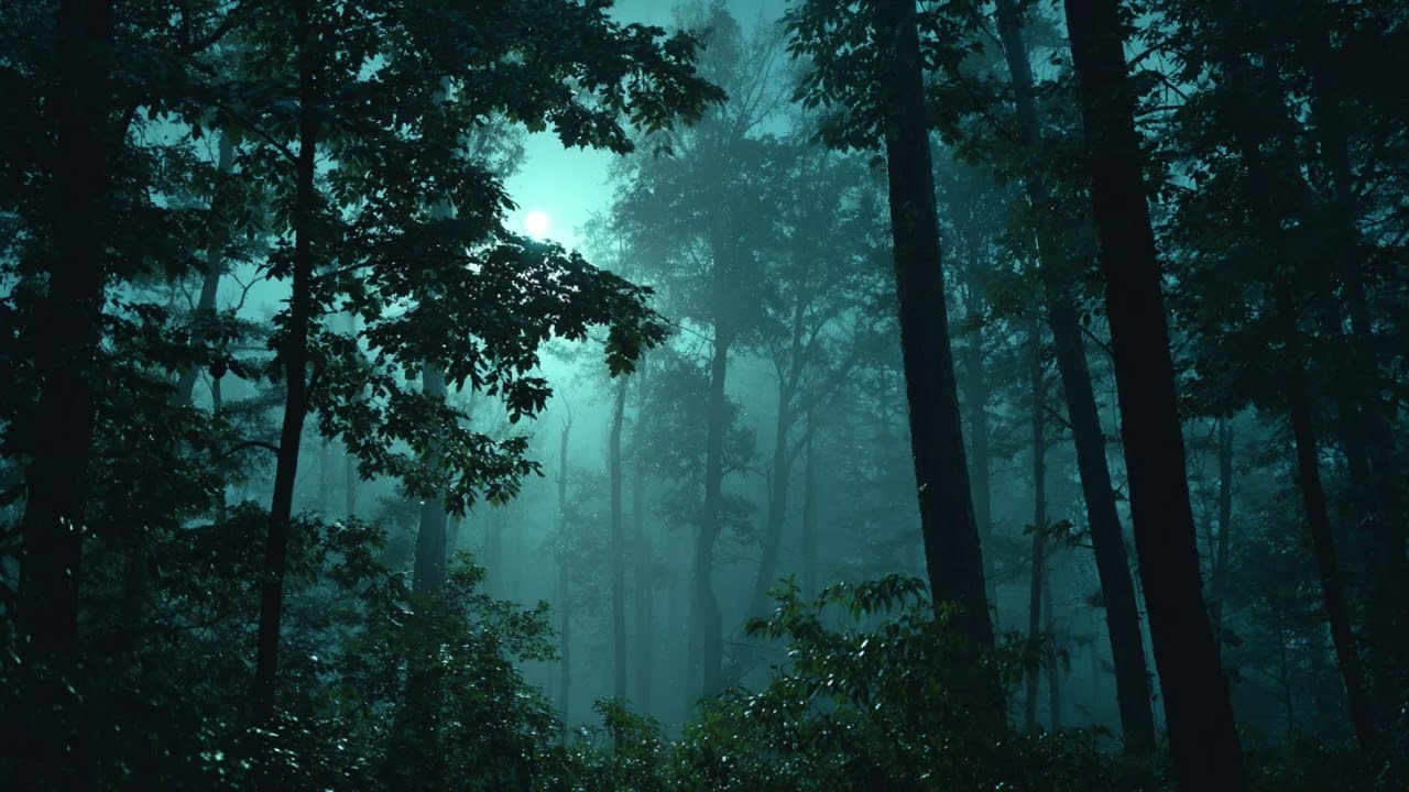 Silent Forest Resonance