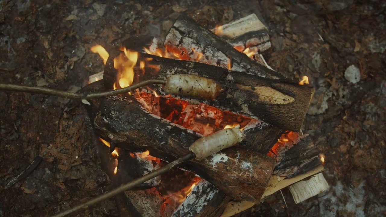 Campfire Culinary Adventures:  Mastering Cooking on a Stick