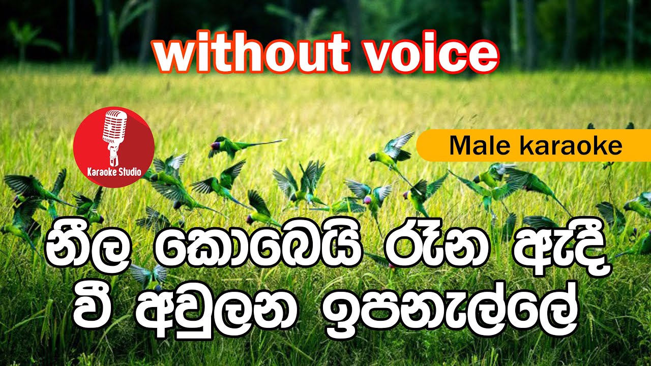 Karaoke - Neela Kobei Rana Adi (without voice) - නීල කොබෙයි රෑන ඇදී