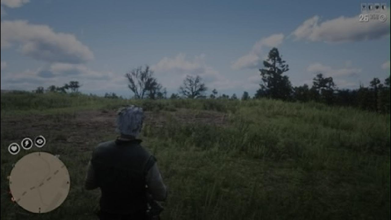 Red Dead Redemption 2_20260110234639