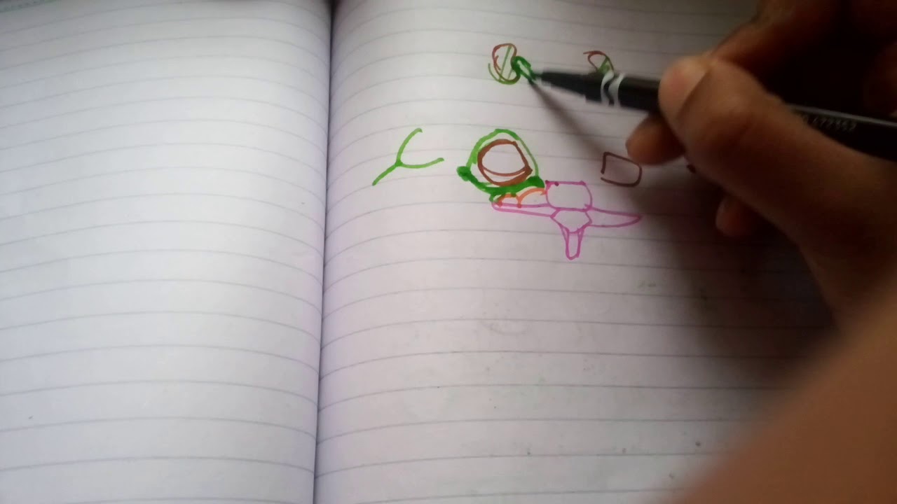 RENAL FASCIA easy understanding part 1