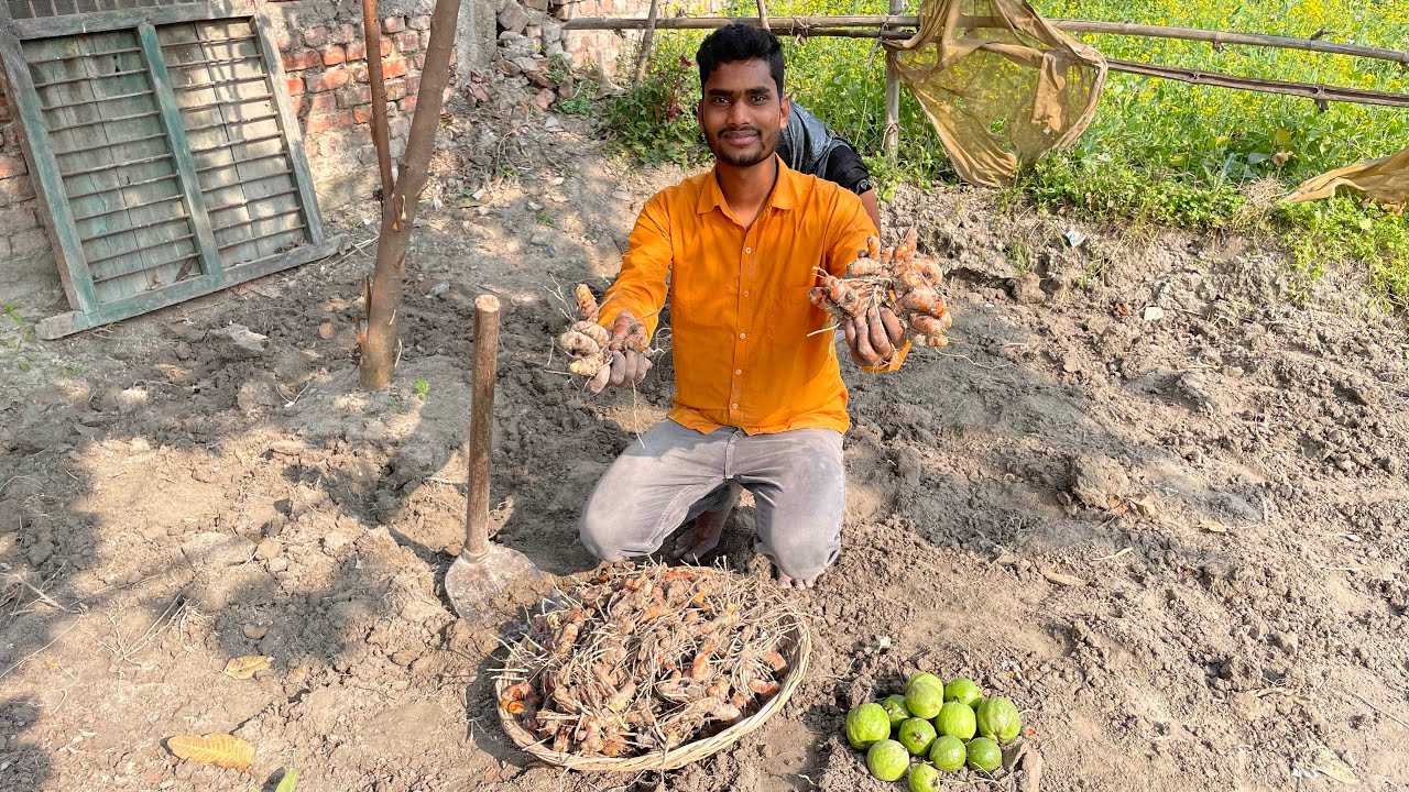 Itna Sara Haldi Nikla Hai 😍