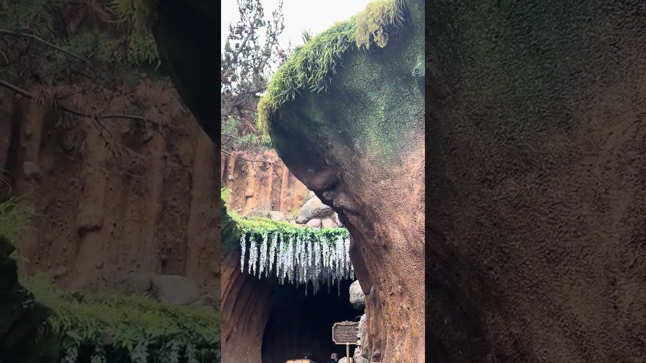 #tianasbayouadventure