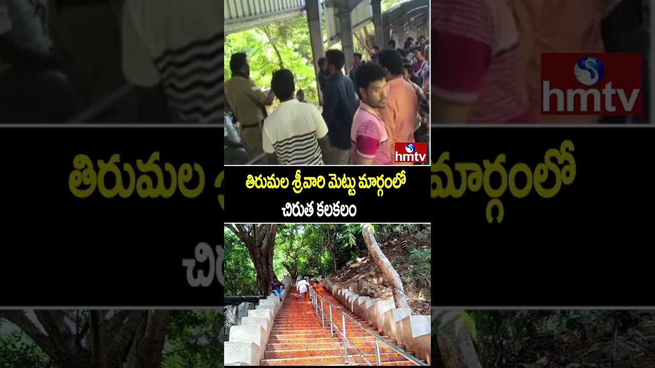 తిరుమల శ్రీవారి మెట్టు మార్గంలో చిరుత కలకలం| Leopard Spotted At Srivari Mettu Path In Tirumala|hmtv