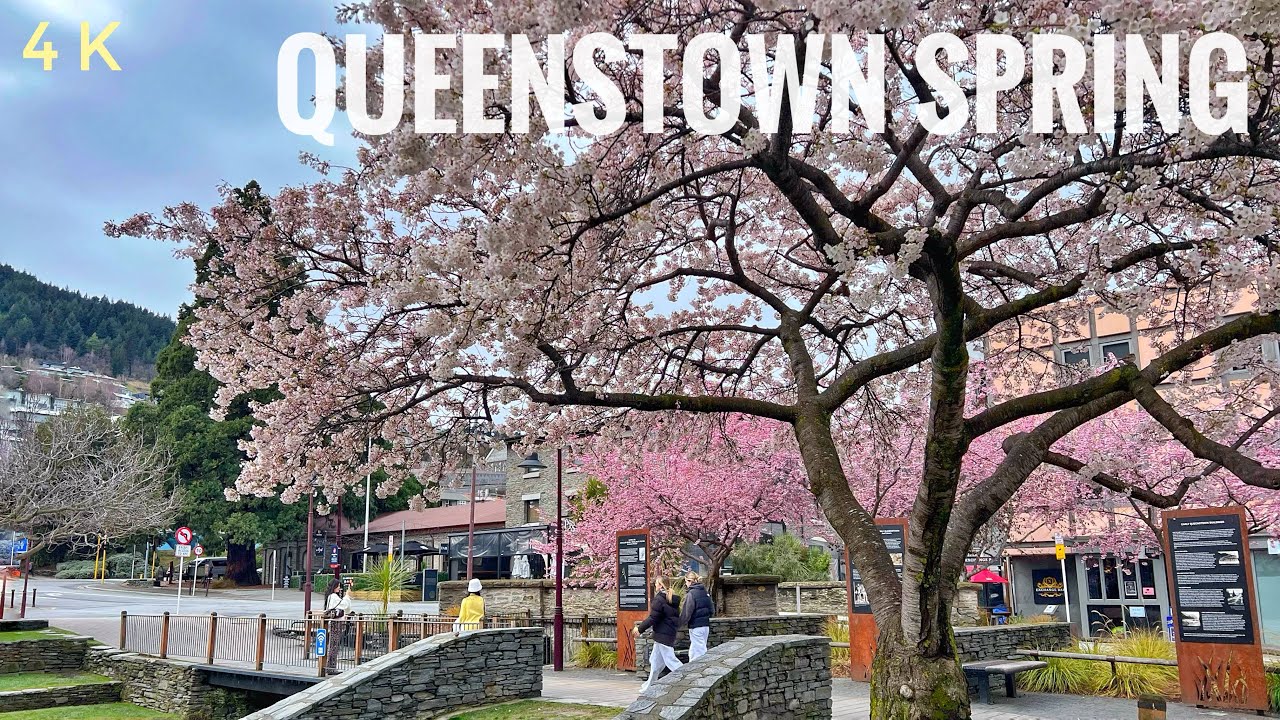 Queenstown Spring Morning Walk 2024 4K | Town Centre | Queenstown Gardens | New Zealand Walking Tour