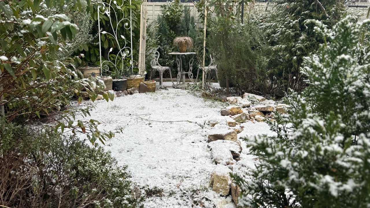 Snow flakes walk in the garden 