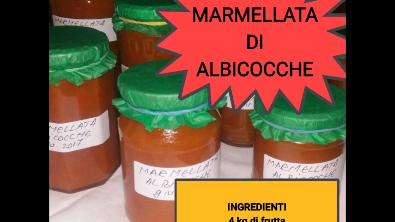 MARMELLATA DI ALBICOCCHE senza conservati 👍