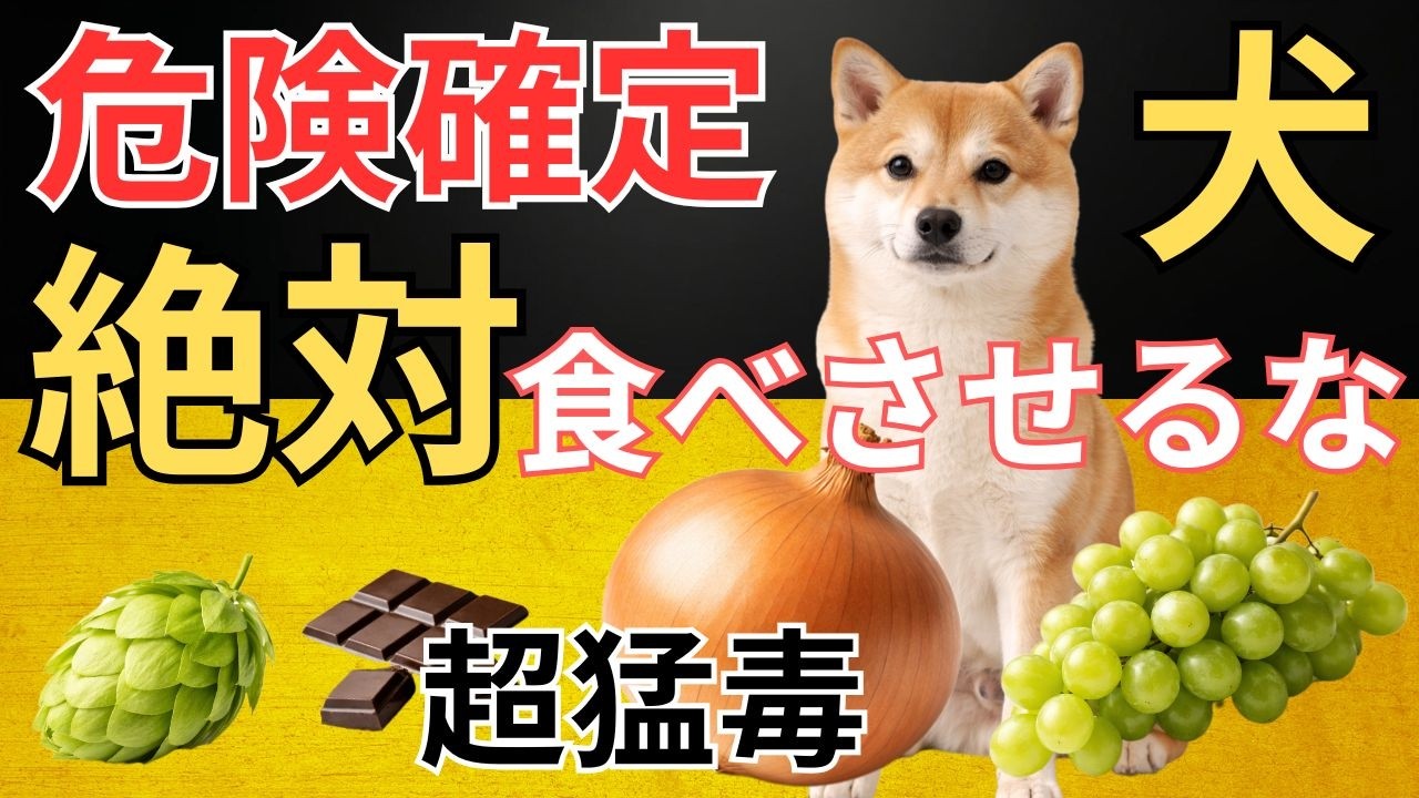 【絶対NG！】犬に絶対与えてはいけない危険な食べ物トップ20とその理由
