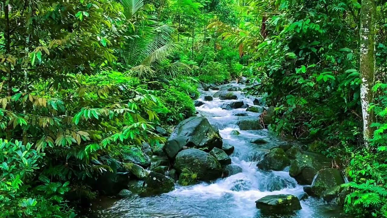 Relaxing River Ambience for Anxiety Relief, Insomnia Healing, and Peaceful Sleep Aid
