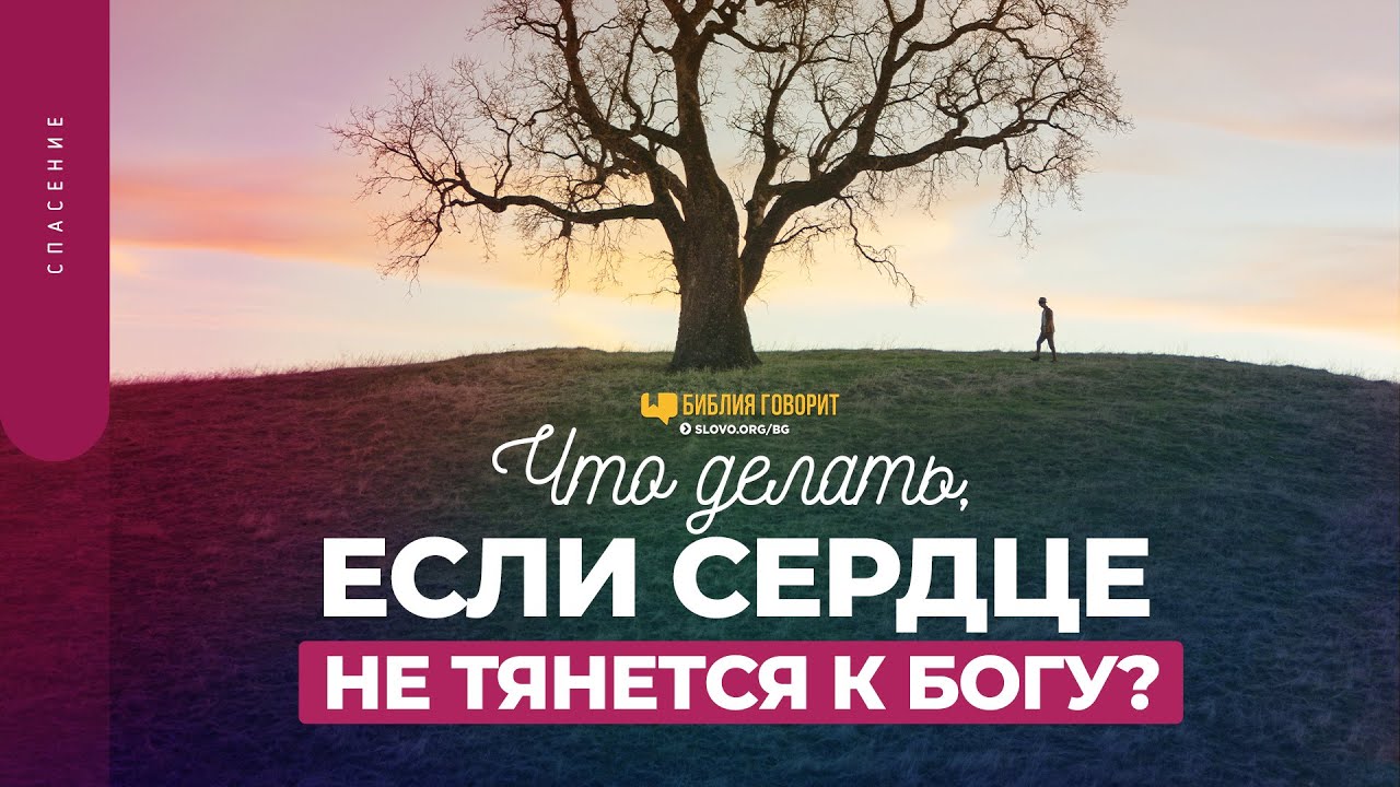 Что делать, если сердце не тянется к Богу? | 