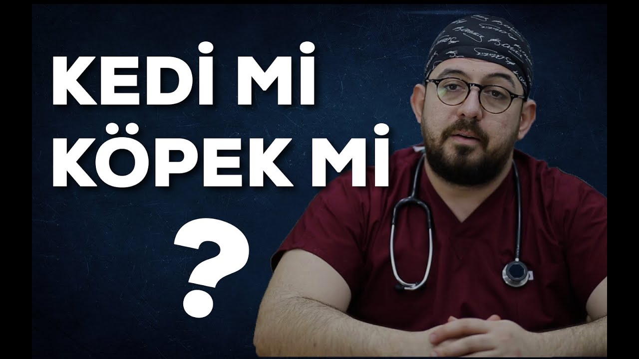 Kedi İnsanı Mısın, Köpek Mi? ''O, İstediğini Yapar Sen Ona Karışamazsın, Hükmedemezsin:)''