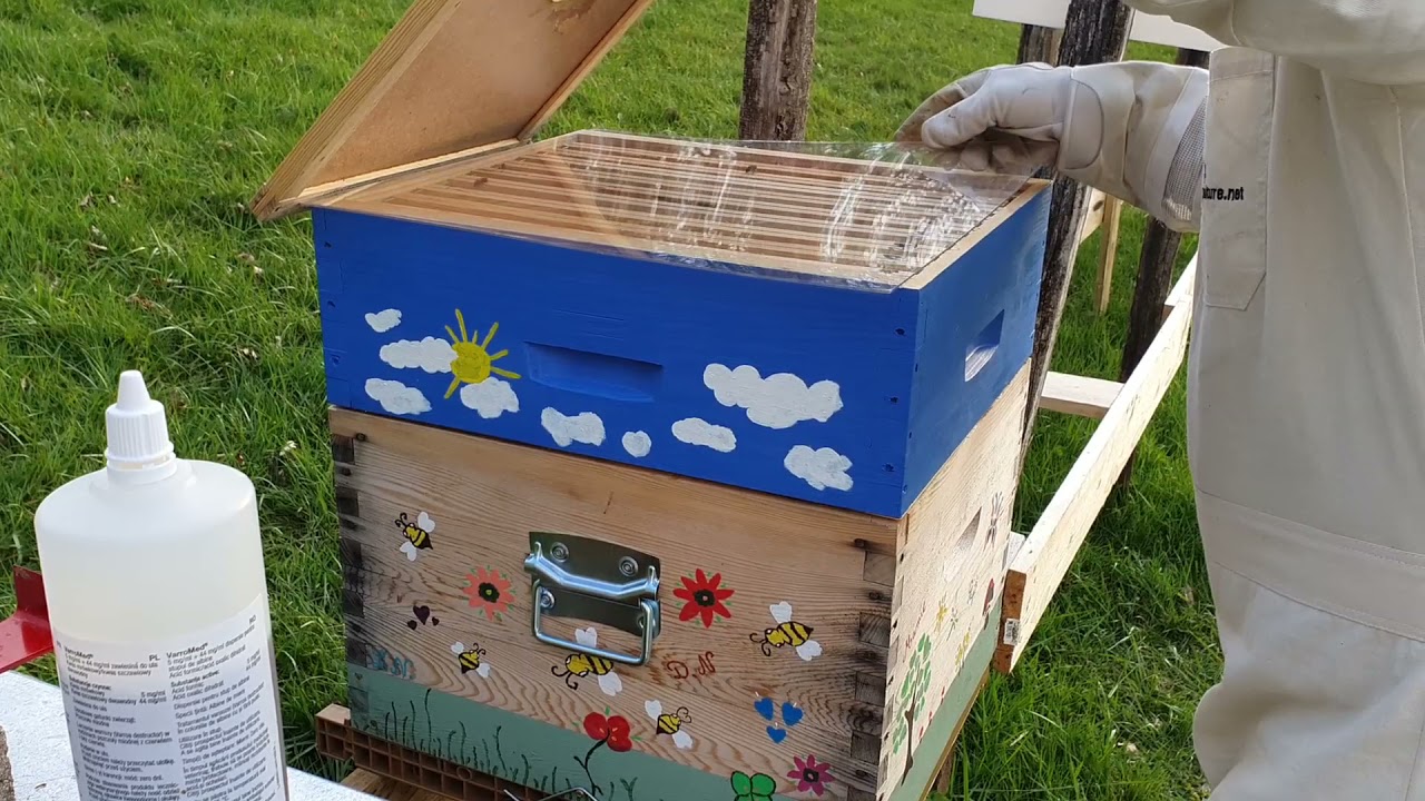 Hors série | Application du traitement anti varroa